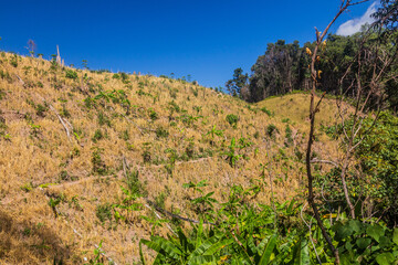 Deforestation near Luang Namtha town, Laos