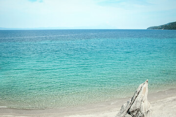 beautiful nature by the sea on nature in the park background