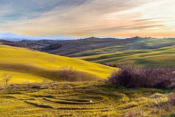Sunset in Tuscany, Italy Countryside Touristic Landscape During Fall