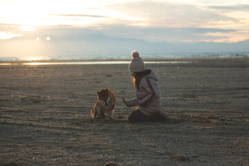 A young girl with a dog in nature. Kid girl playing with a shiba inu dog on the beach at sunset in Greece in winter - 787503498