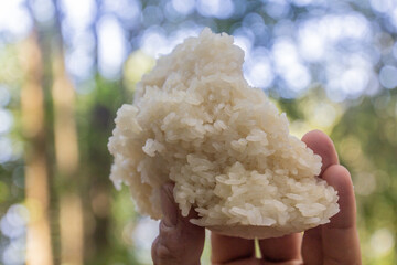 Piece of sticky rice, Laos