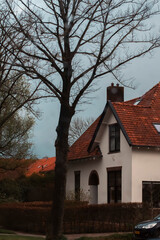 special architecture of Holland small houses