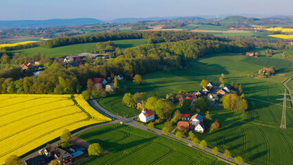 Aerial drone view of yellow rapeseed fields in German countryside