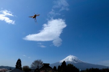 富士山に浮雲と蜂