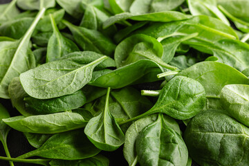 Fresh green spinach leaves with drops of water