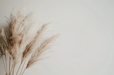 Close Up of Vase With Plant