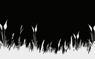 Image of a monochrome reed,grass or bulrush on a white background.Isolated vector drawing.Black grass graphic silhouette. - obrazy, fototapety, plakaty