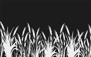 Image of a monochrome reed,grass or bulrush on a white background.Isolated vector drawing.Black grass graphic silhouette.