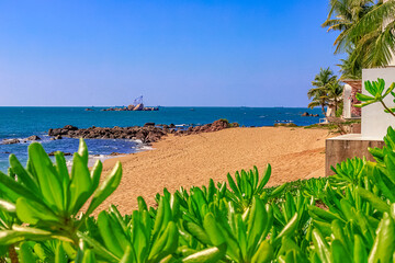 View of the shore of the South China Sea with a sandy beach, palm trees and plants, large stones.