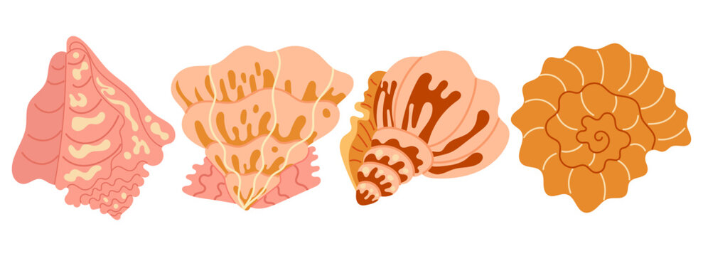 Set of seashells and starfishes. Pearl corral and snail shells. Sea life elements. Vector illustration sea set for poster, card, scrapbooking , stickers.