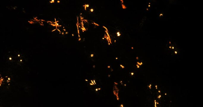 Glowing flashes, explosions passing through thin threads on a black background. Pulse flashes.