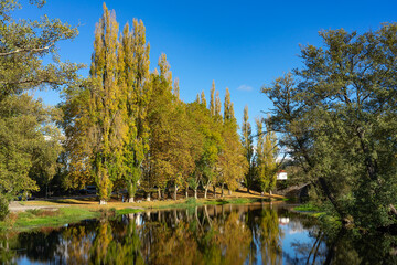 Fototapeta na wymiar Autumn landscape of a riverside forest with tall poplars reflected in the river water