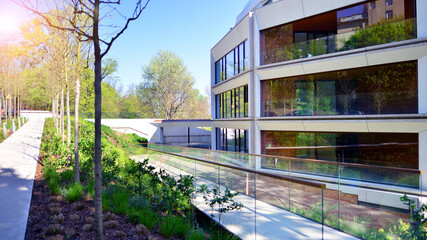 Fototapeta na wymiar Eco architecture. Green tree and new residential building. Harmony of nature and modernity. Modern apartment building with new apartments in a green residential area.