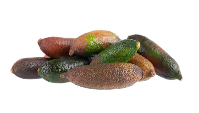 Fresh finger limes isolated on white background. Caviar lime. Fruits pods. Clipping path.
