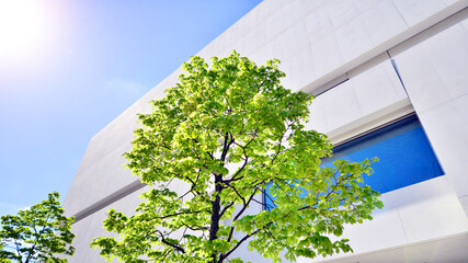 Modern white concrete building walls against blue sky. Eco architecture. Green trees and concrete office building. The harmony of nature and modernity. - obrazy, fototapety, plakaty