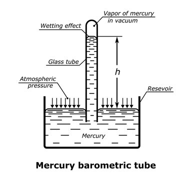 Mercury barometric tube vector illustration