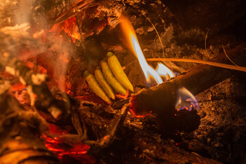 Chilli peppers being prepared in the fire near Luang Namtha, Laos