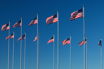 inspiring composition featuring a line of American flags against a deep blue sky, honoring the contributions of veterans and celebrating the spirit of freedom on Veterans Day, Labo