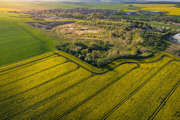 Luftaufnahme von der Harzstadt Warnstedt mit Rapsfeldern