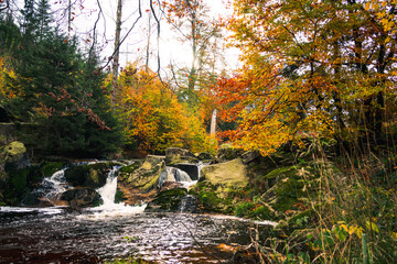 Der Herbst im Ilsetal. Wasserfälle an der Ilse