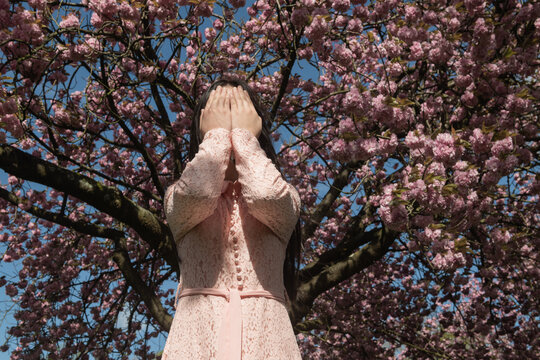 woman in pink lace dress and cherry blossom tree