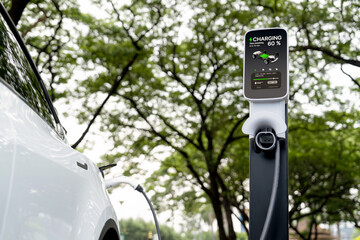 EV electric vehicle recharging battery from EV charging station in national park or outdoor forest scenic. Natural protection with eco friendly EV car travel in the summer woods. Exalt - 787544273
