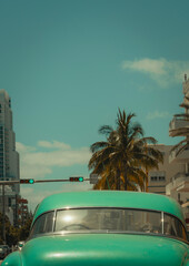 beach state palm old  car street Miami Beach 