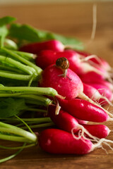 fresh radish on table close up