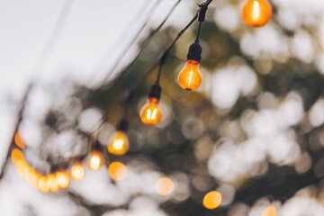 Luminous incandescent lamps hang in the form of a garland on wires, against the blurred nature...