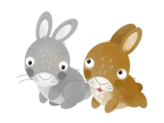 Foto op Plexiglas cartoon scene rabbit hare bunny pair farm ranch animals family isolated background aillustration for children © agaes8080