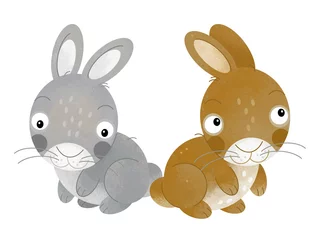 Tuinposter cartoon scene rabbit hare bunny pair farm ranch animals family isolated background aillustration for children © agaes8080