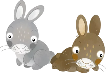 Foto op Canvas cartoon scene rabbit hare bunny pair farm ranch animals family isolated background aillustration for children © agaes8080