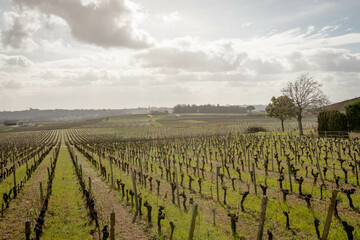 Fototapeta na wymiar Views from the wine making region of Saint-Émilion, France