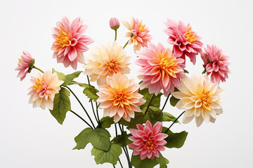 Obraz premium Flowers on white background. Topics related to flowers. Jobs related to flowers. Flower news. Spring and summer season. Image for graphic designer.