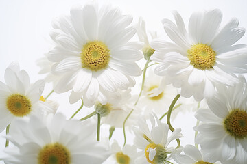 Flowers on white background. Topics related to flowers. Jobs related to flowers. Flower news....