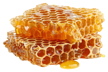 PNG Honeycomb with honey honeycomb dessert cream