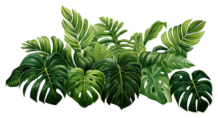 PNG Jungle plant clipart nature green leaf