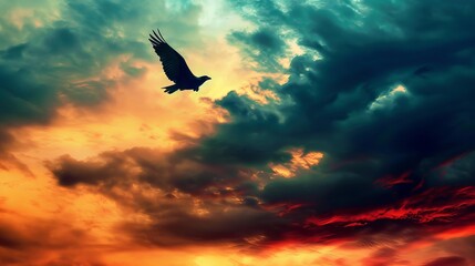 Fototapeta na wymiar A hawk soaring in the sky
