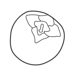 Linear icon of a persimmon, vector illustration in black and white. Exotic fruit symbol in simple style.