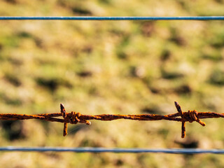 Fence with razor barber wire. Private land protection. Farming industry. Nobody. Country side...