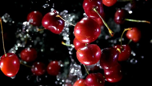 Red juicy cherries bounce up with splashes of water on a black background in slow motion