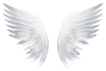 PNG  Angel wing icon white archangel feather.