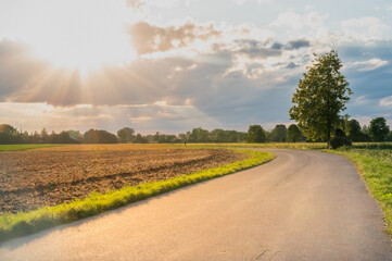 Sunset over the wheat fields in Munich, Germany