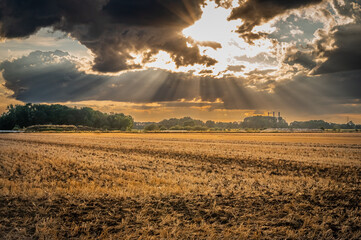 Sunset over the wheat fields in Munich, Germany
