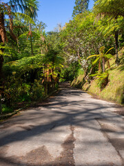 Botanic Garden Pedestrian Path