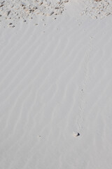 Patterns in the sand at White Sands National Park, New Mexico
