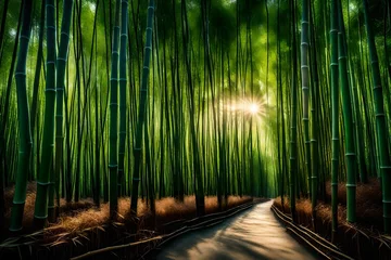 Gardinen bamboo forest in the morning © Goshi