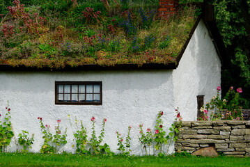 Old white chalked stone building with a small window and with hollyhock flowers against the wall...
