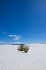 Sand dunes at White Sands National Park, New Mexico
