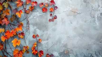 Fall grapevine branches against gray plaster wall Abstract backdrop